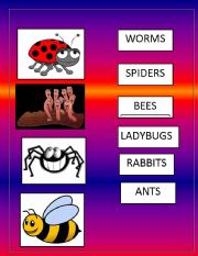 English Worksheet: Animals flash cards part 1