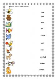 English Worksheet: Animals and their homes