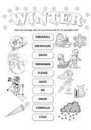 English Worksheet: winter words
