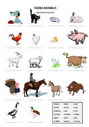 English Worksheet: Farm Animals