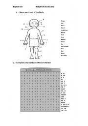 English Worksheet: Body Parts