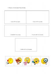 English worksheet: Senses