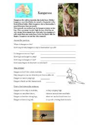 English Worksheet: Kangaroo