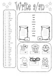 English Worksheet: a/an articles