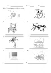 English Worksheet: living and non living things