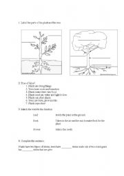 English Worksheet: Science exam plants
