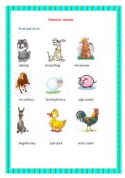 English Worksheet: Domestic animals