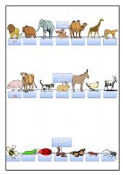English Worksheet: animals and insects