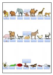 English worksheet: animals and insects