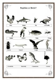 English Worksheet: Reptiles or birds?