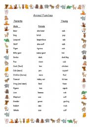 English Worksheet: Animal Families