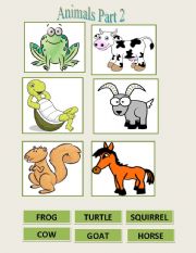 English Worksheet: Animals flash cards part 2