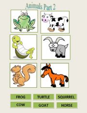 Animals flash cards part 2