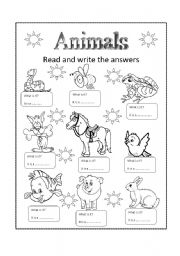 English Worksheet: ANIMALS