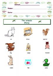 PETS INFORMATIONSHEET