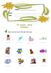 English Worksheet: pets worksheet
