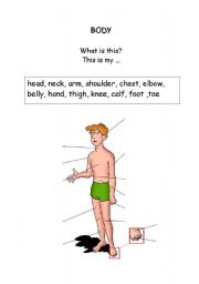 English Worksheet: Parts of body