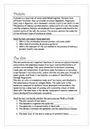 English Worksheet: English for doctors