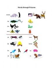 English Worksheet: Words through Pictures