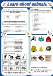 English Worksheet: Learn about animals