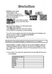 English worksheet: Evolution