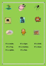 English worksheet: animals