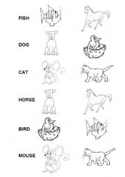 English Worksheet: What animal...? 