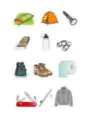 English Worksheet: Camping