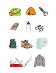 English worksheet: Camping