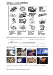 English Worksheet: pollution: causes and effects