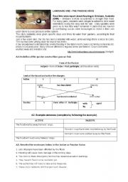 English Worksheet: Passive Voice