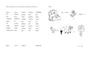 English worksheet: sorting