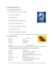 English Worksheet: The Circulatory System