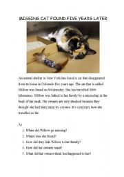 English Worksheet: Missing Cat story and poster exercise