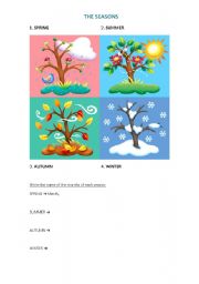 English Worksheet: Seasons + months