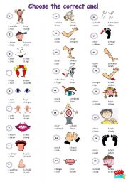 English Worksheet: Body Parts *multiple choice exercise*
