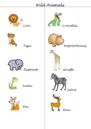 English Worksheet: Wild Animals