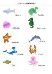 English Worksheet: Sea creatures 