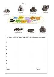 English worksheet: colours