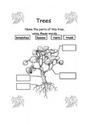 English Worksheet: Parts of a tree