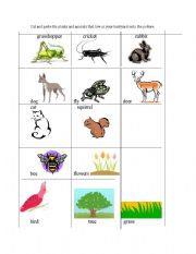 English worksheet: Backyard plants and animals