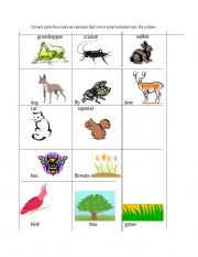 English Worksheet: Backyard plants and animals