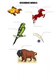 English worksheet: describing animals