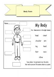 English Worksheet: Body Parts