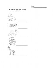 English worksheet: ANIMALS