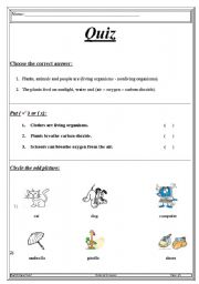 English worksheet: Science for kids
