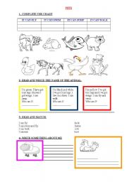 English Worksheet: PETS AND FARM ANIMALS