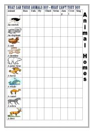 English worksheet: animal homes