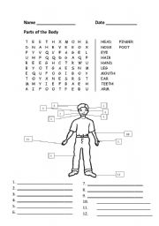 English Worksheet: Parts of the Body