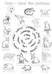 English Worksheet: Pets-label the pictures